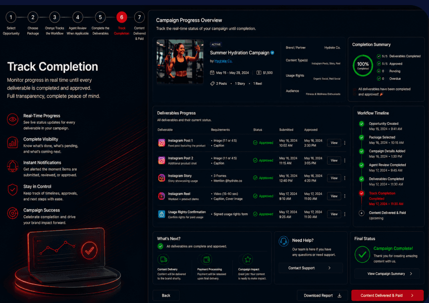 Campaign progress overview with completion summary and final status